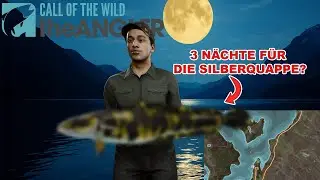 Mission Silber-Quappe: SO WICHTIG sind Köder und Pose! Nachtangeln in Call of the Wild the Angler