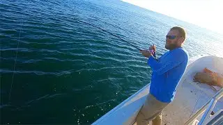 Fall Wreck fishing Virginia Beach Virginia