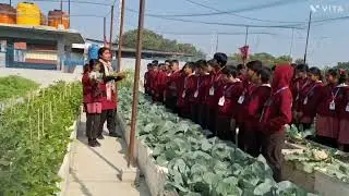 Fresh plant 