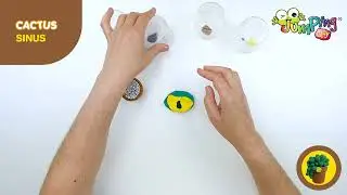 Make your own Sinus Cactus with JumpingClay!