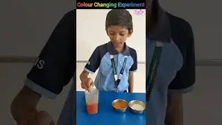 Colour Changing Experiment done by Grade 4 Student#tulipinternationalschool #scienceexperiment