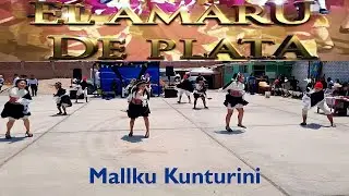 MALLKU KUNTURINI (PUNO) URPI TUSUY - CONCURSO KATARI 2024 - PRODUCCIONES ISA