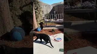 Leoelmamalon está en vivo hola cómo están