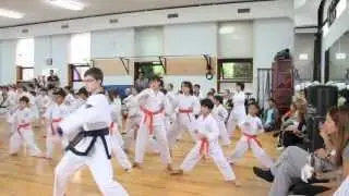 Kwon's Karate/ SooBahkDo MooDukKwan 수박도 무덕관 2013 June Gup Shimsa/ BBQ