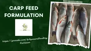 Indian Major Carp Feed Formula (IMC)