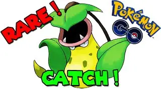 Catching VICTREEBEL ! (POKEMON GO RARE CATCH)