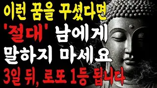 2026년 병오년, 이 꿈을 꿨다면 오늘 당장 로또 사세요함부로 말하면 대운 사라집니다 I 부처님말씀 I 불교명언 I 석가모니 I 오디오북