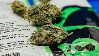CBDwithDUB Ep. 9 | Kong CBD Blunt Wraps Promo 2019 | Smoker's Vibe