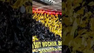 HSV verteidigt sich gegen Dortmund!  #ultras #bundesliga #fu&szlig;ball #hsv #bvb #borussiadortmund