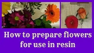 Flower Preparation - how I press and dry fresh flowers ready to be encapsulated in resin.