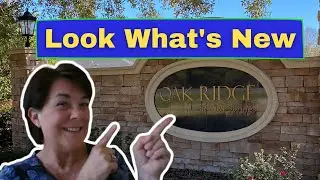 Homes for sale in High Springs FL/New Construction