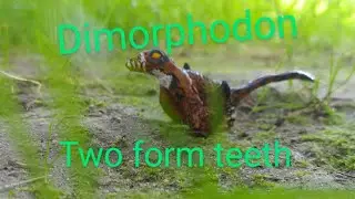 How to sculpt DIMORPHODON