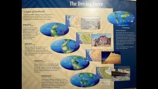 Second Great Lesson: The Timeline of Life