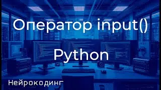 Функция input() в Python: Как получать данные от пользователя