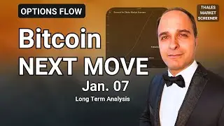 Bitcoin Options Flow| Long Term Analysis