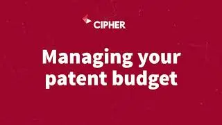 Budget Management for patents