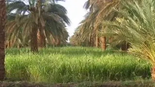 محمد النصري :: معزور لو قلبي اشتهاك :: اغاني طنبور 2018
