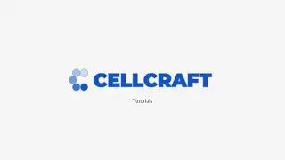 CellCraft Tutorial for Beginners - Running GRN(Gene Regulatory Network) inference