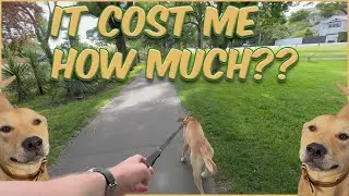 I've made a huge investment!
