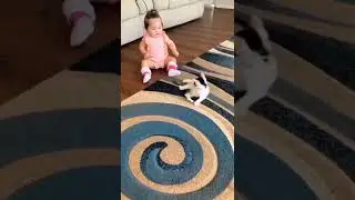 captain how much cute they are