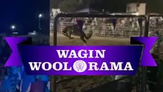 ROGUE - Wagin Woolorama Rodeo 2020