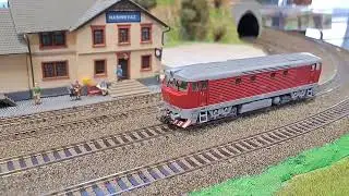 Dieselová lokomotiva ČSD T 478 1184 ozvučený model H0 Roco č  7310028 projekt Jacek Zimo MS450P22