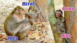 Gangster Anna's very hungry so that terrifies Alba!