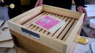 Thorne Beehives - how to use our Adapta Eke
