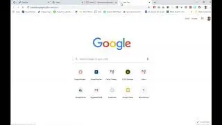 Google Meet Demo