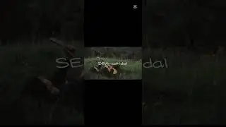 SEA-ZAHIDAL