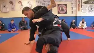 Joe Moreira: Snakey #9 - Macacobolo
