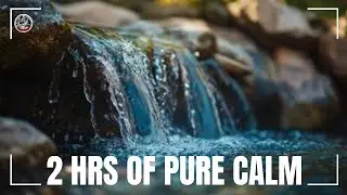 2 Hours of Soothing Creek ASMR 🌊 Relaxing Water Sounds for Deep Sleep & Stress Relief