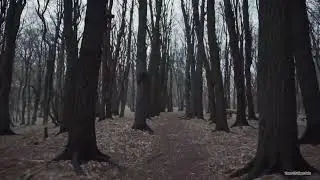 The Dream Is Over - Piano Instrumental Sleep / Relax / Sad / Hope