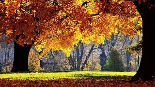 October 1, 2023 ELCA Church Service
