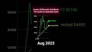 POV: You stacked sats for 5 years. Result? Absolute domination. #btc #bitcoin #investing #dca
