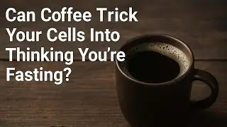 Coffee: The Legal Stimulant That Pretends You&rsquo;re Fasting While You Eat Muffins