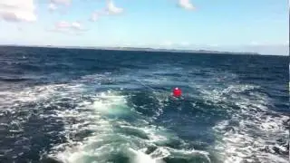 Bou&eacute;e MIP - Buoy MIP