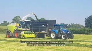 Tullamore Farm June Update