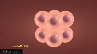 Fertilization process 
