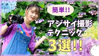 【アジサイ】5分でわかる！紫陽花撮影のポイント3選 【スナップ撮影】vol.3