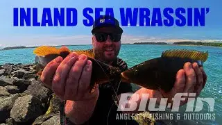 Wrasse bashing on the INLAND SEA - ANGLESEY