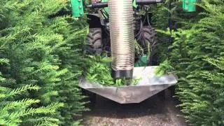 QuickHedge instant hedges - efficient inzamelen taxussnoeisel
