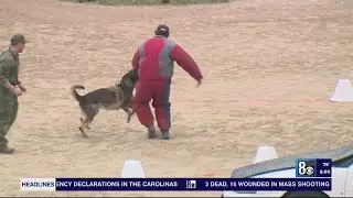 Las Vegas police dogs showcase skills at annual K-9 trials