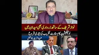 PML-N: Navigating Crisis or Opportunity?