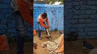 Toxic Introducing Raya II Jadu Gar Video #viral #tarending #sortvideo @praveshrajvlogs