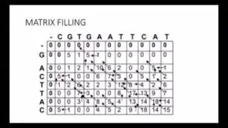 Waterman local algorithm(simplified)