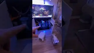 Aquarium Maintenance Day: Pt 2