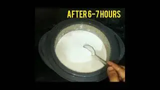 How To Make Curd in Winter ll Spreading Taste