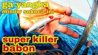 Awalnya saya remehkan minow murah ini,teryata super killer ikan predator!!murah tapi mantap!!