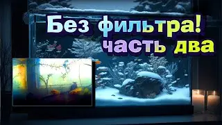 АКВАРИУМ БЕЗ ФИЛЬТРА Ч. 2